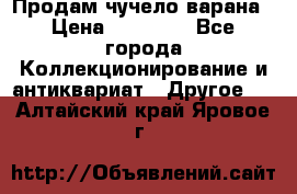 Продам чучело варана › Цена ­ 15 000 - Все города Коллекционирование и антиквариат » Другое   . Алтайский край,Яровое г.